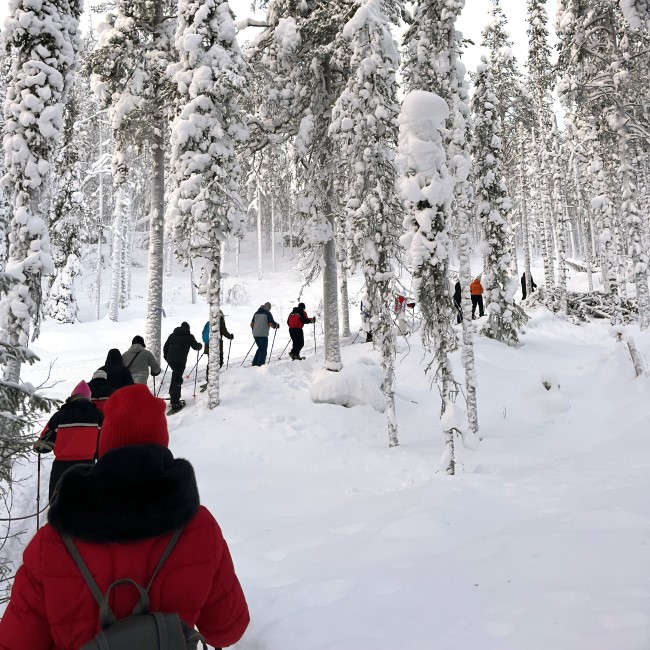 Schneeschuhwandern in Lappland